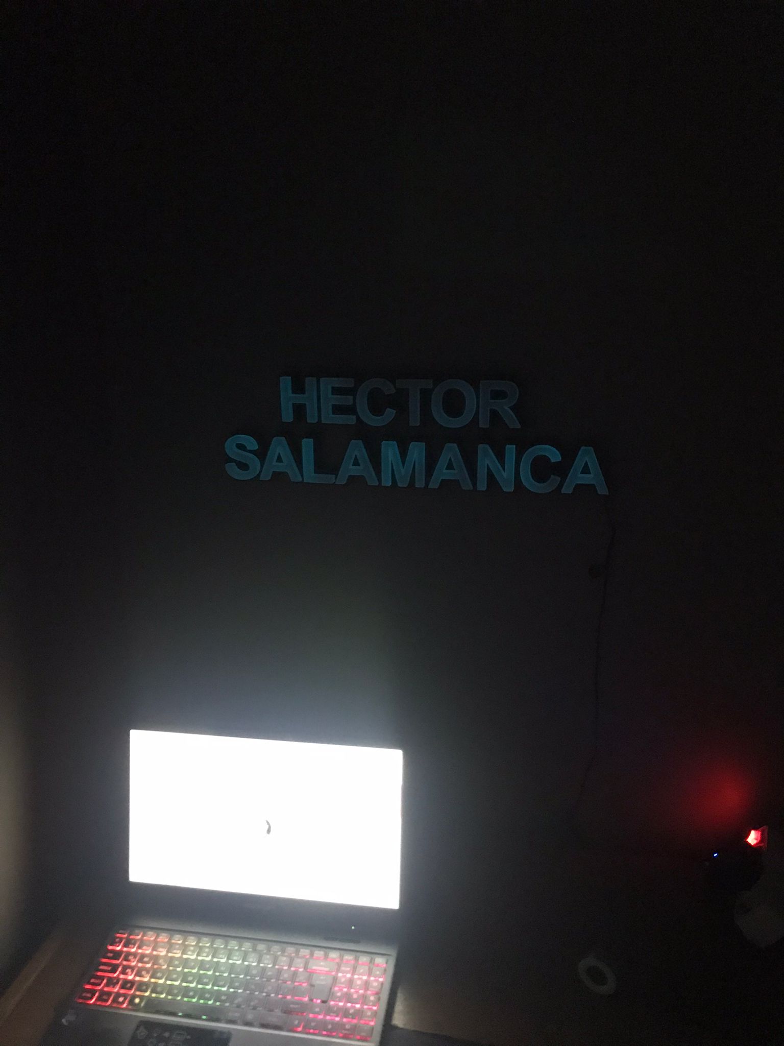 Hector Salamanca-3.jpeg