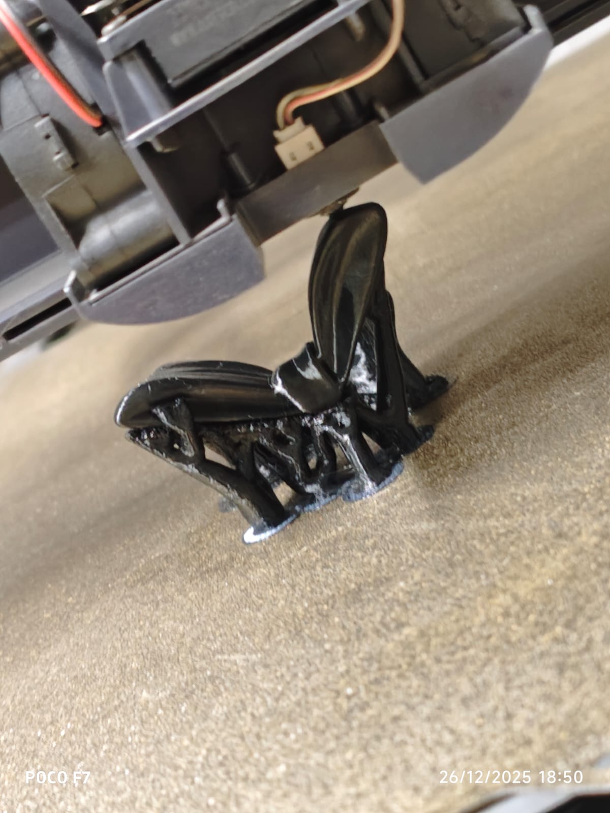 WhatsApp Image 2025-12-29 at 02.09.36 (1).jpeg