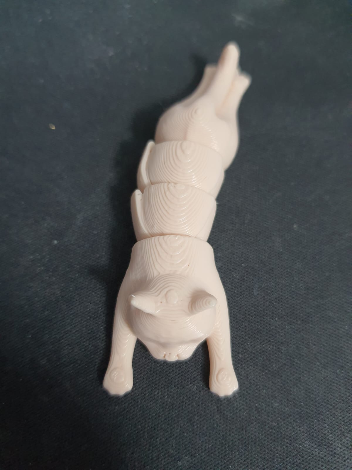 WhatsApp Image 2025-12-28 at 20.55.21.jpeg