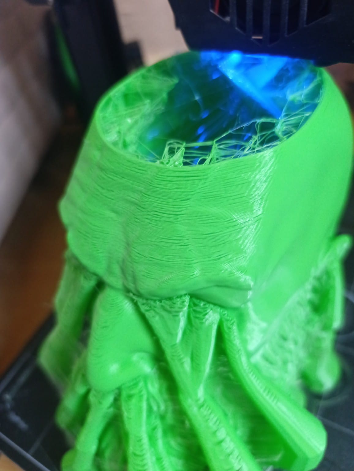 WhatsApp Image 2026-01-05 at 13.41.40.jpeg